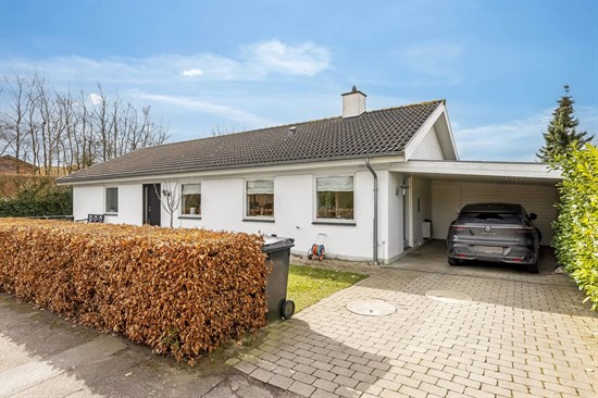 Pantholm 49