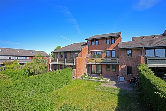 Kildebo 38