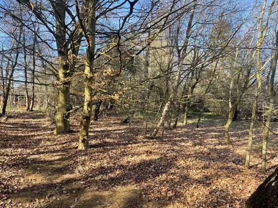 Rørsangervej 5A