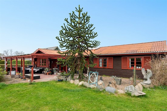 Hus – Stege, Rødkilde - Visning 2