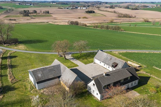 estate