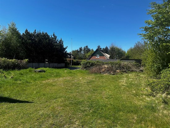 estate