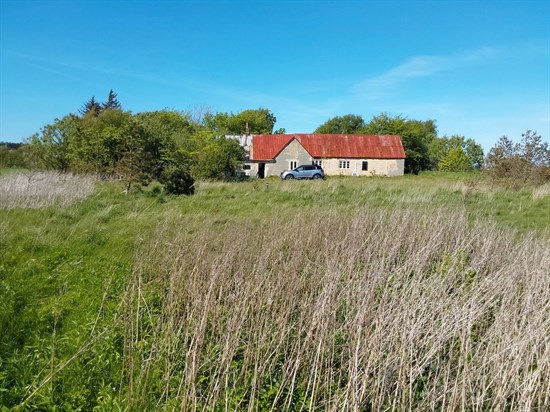 estate