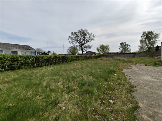 estate