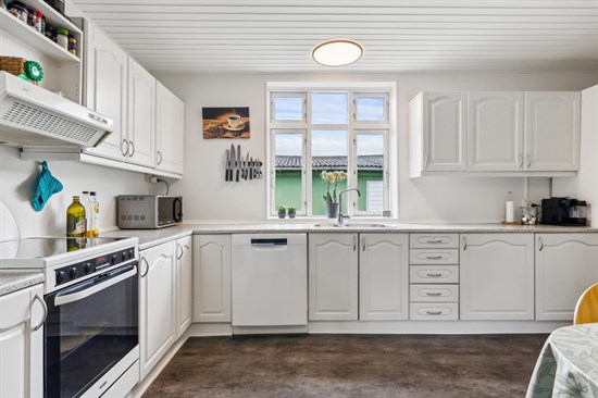 Hus – Engesvang, Moselund - Visning 3
