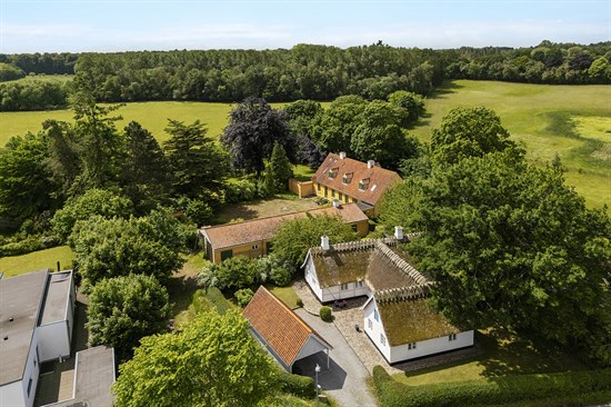 estate