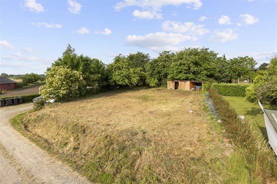 estate