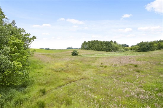 Staghøj 60