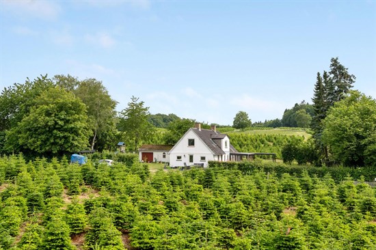 Bakbjergvej 24