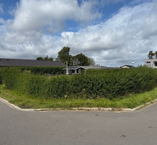 estate