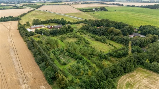 estate
