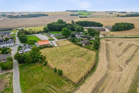 estate
