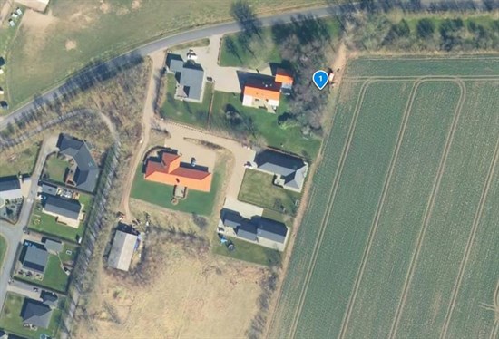estate