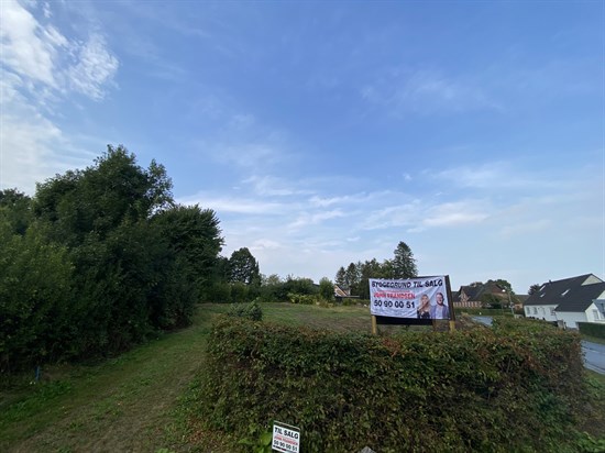 estate