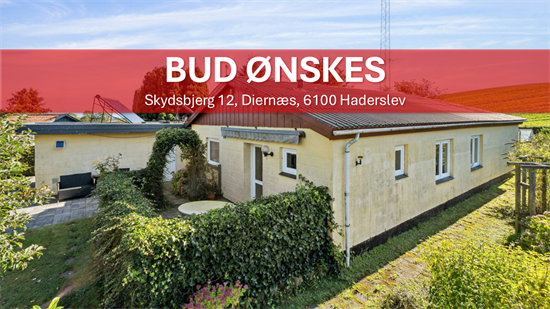 Villaen på Skydsbjerg 12