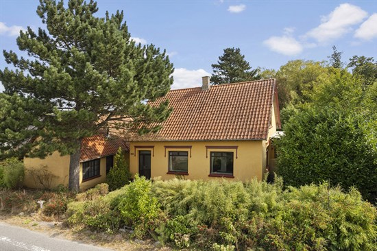 estate