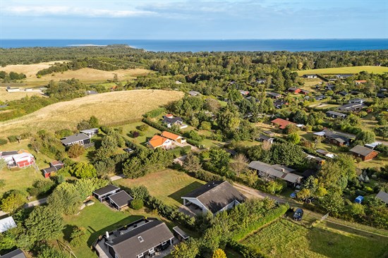 estate