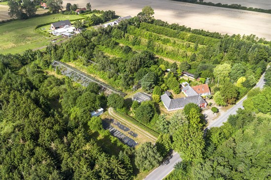 estate