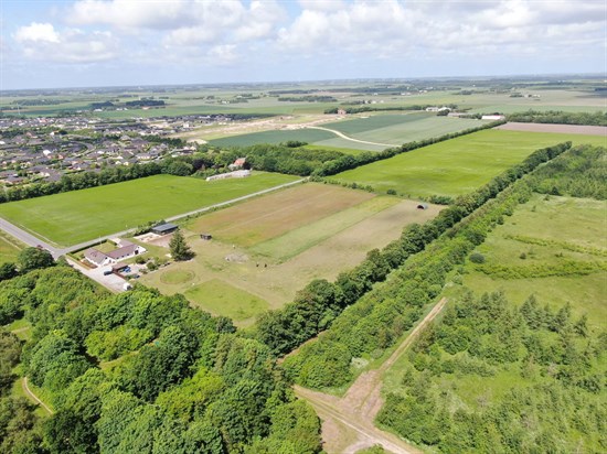estate
