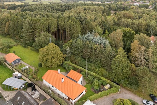 estate