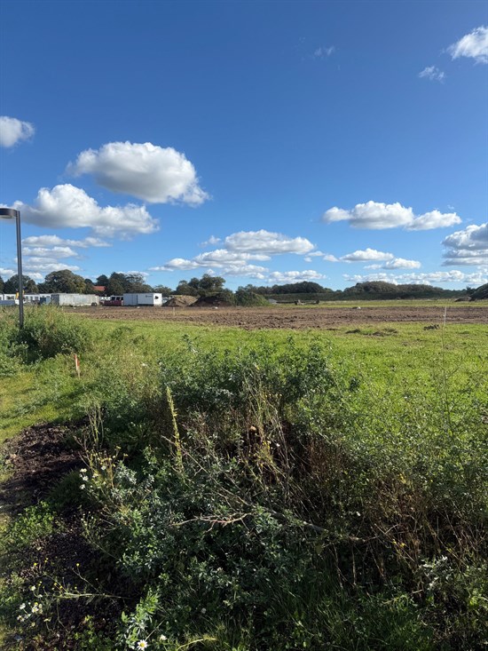 Skrivervænget 21