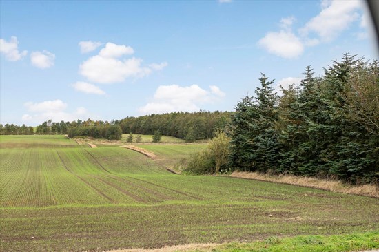 Aldumvej 40, Spettrup