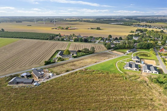 estate