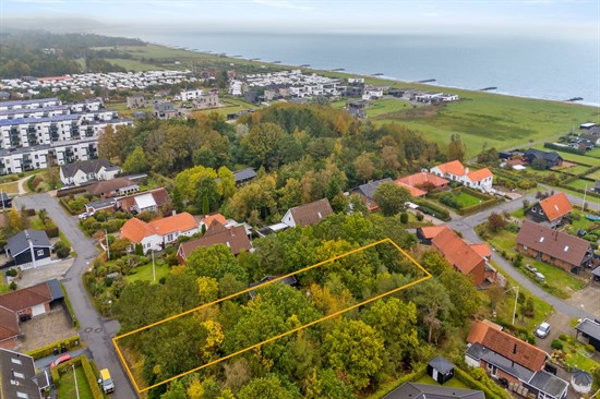 estate