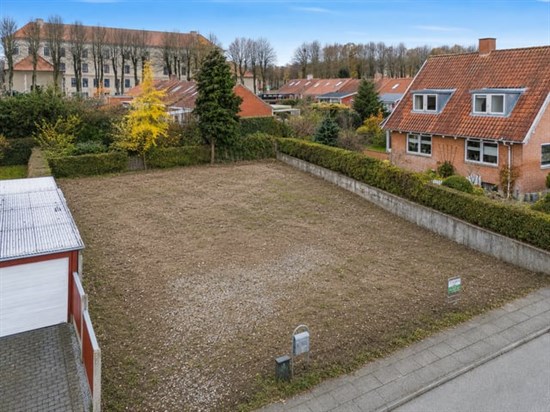 estate