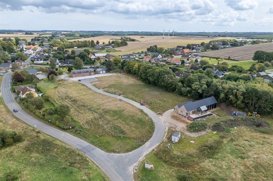 estate
