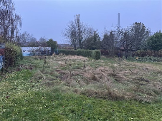 estate
