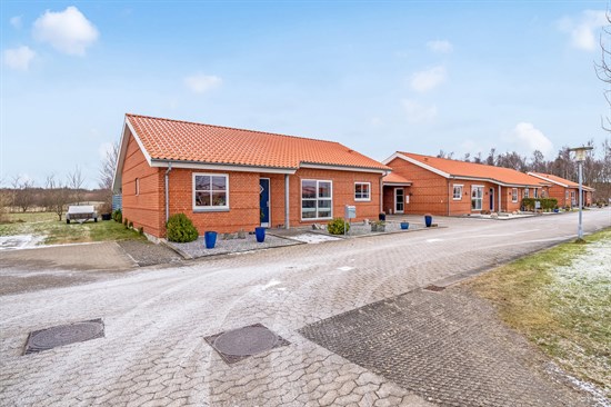 Kongelyset 16