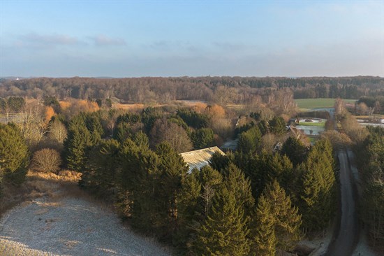 estate