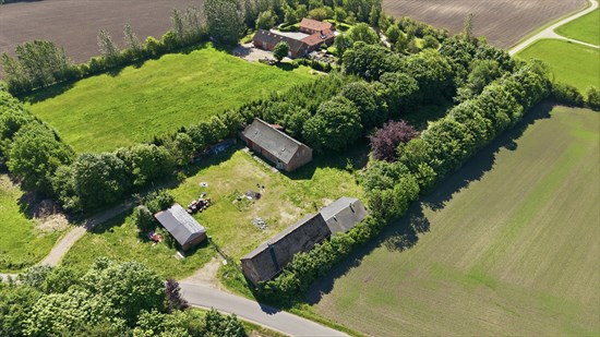 estate