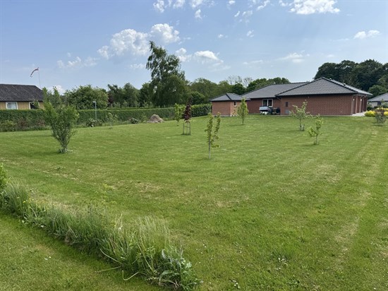 estate
