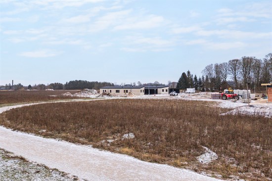 estate