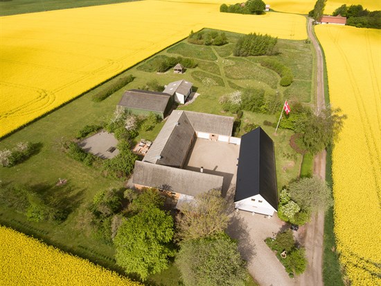 estate