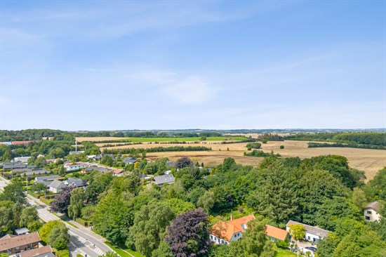 estate