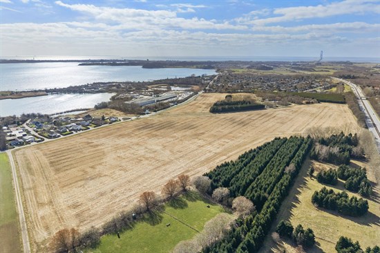 estate