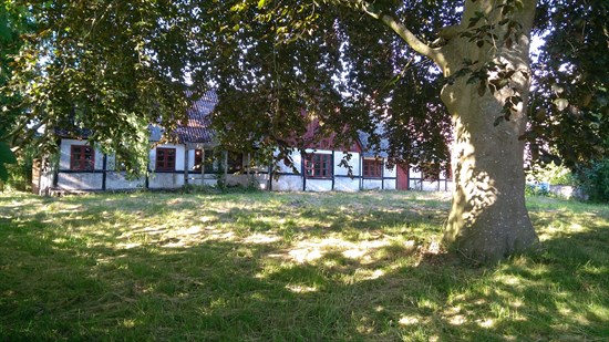 House in Ringsted - Visning 3