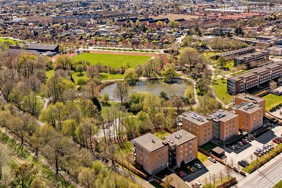 estate