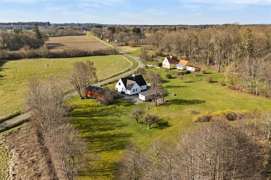estate