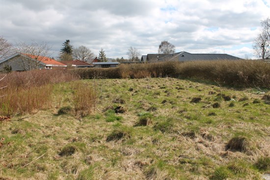 estate