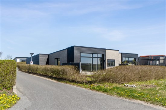 Frugthaven 2