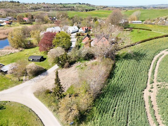estate