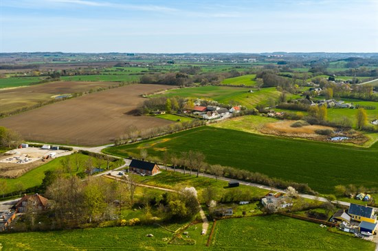 estate