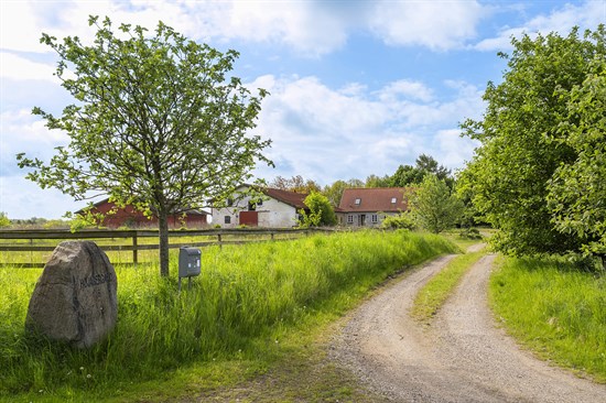 estate