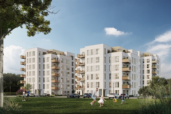estate