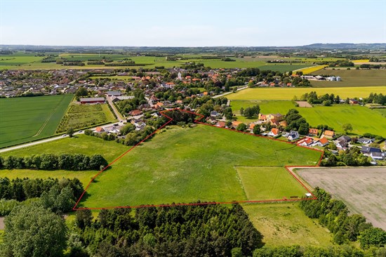 estate