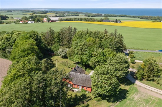 estate